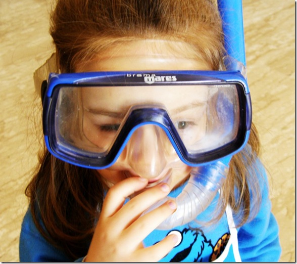 Small Red Bump On End Of Nose That Wont Go Away